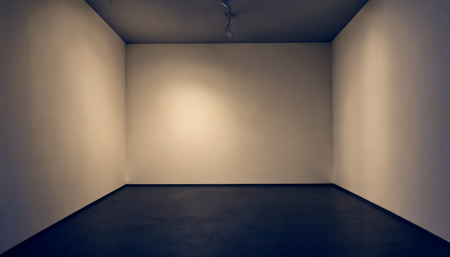 A softly lit gallery interior with warm cream walls and deep navy shadows, in a calm two-tone duotone photograph